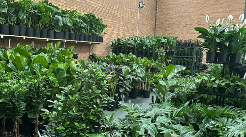 Botanical Heaven